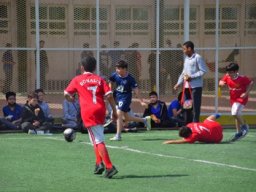 MIS Sports